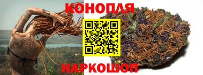 прущие грибы Заволжье