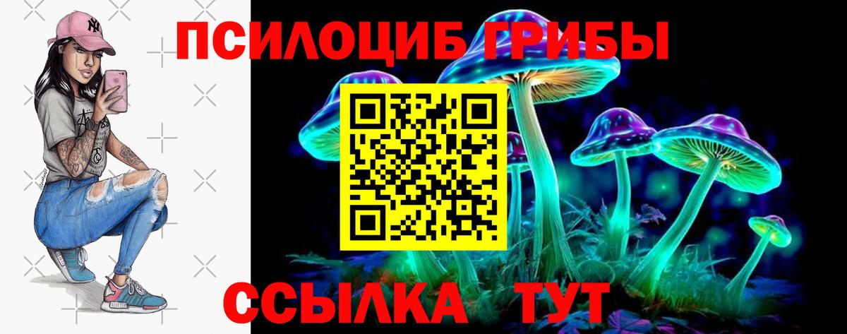 Мелеуз  Псилоцибиновые грибы Psilocybe  Псилоцибиновые грибы мицелий  Вход с VPN 